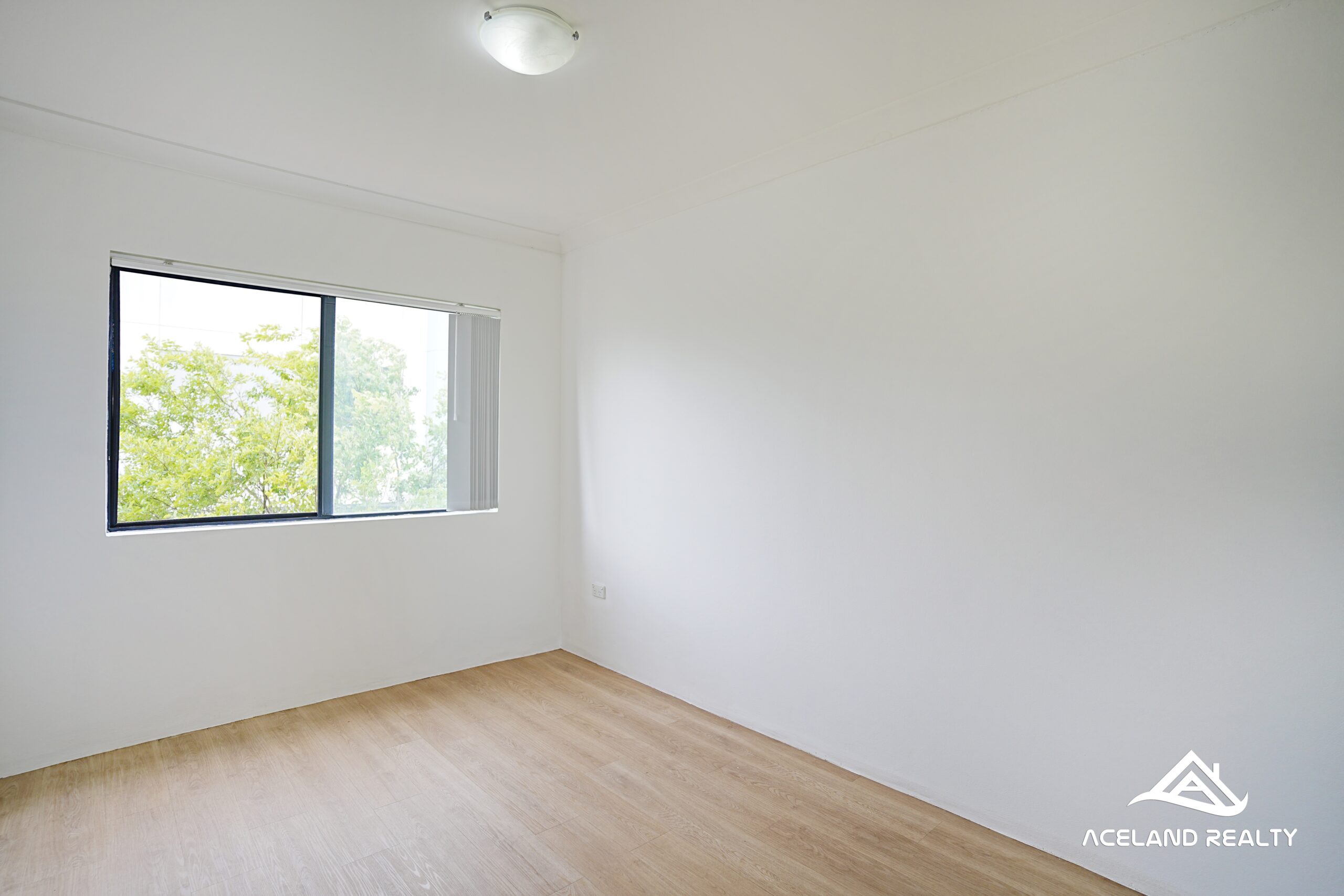 eagle_1499944-BURWOOD-2024-11-01-050356-5