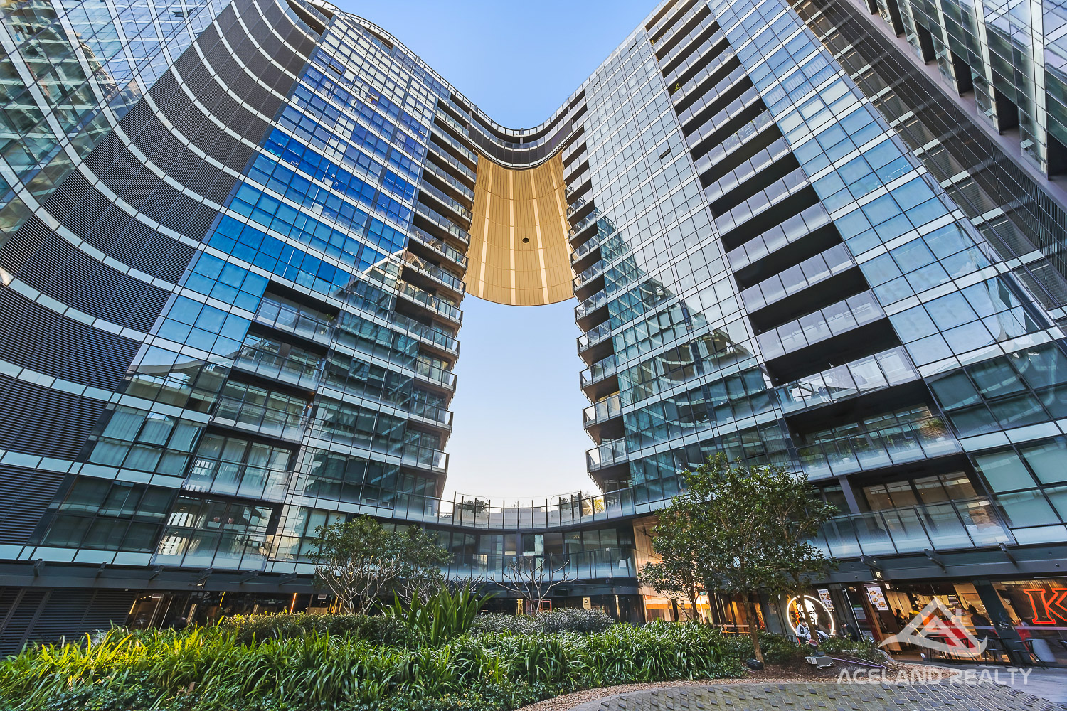 eagle_1331196-ZETLAND-2023-12-10-042625-11