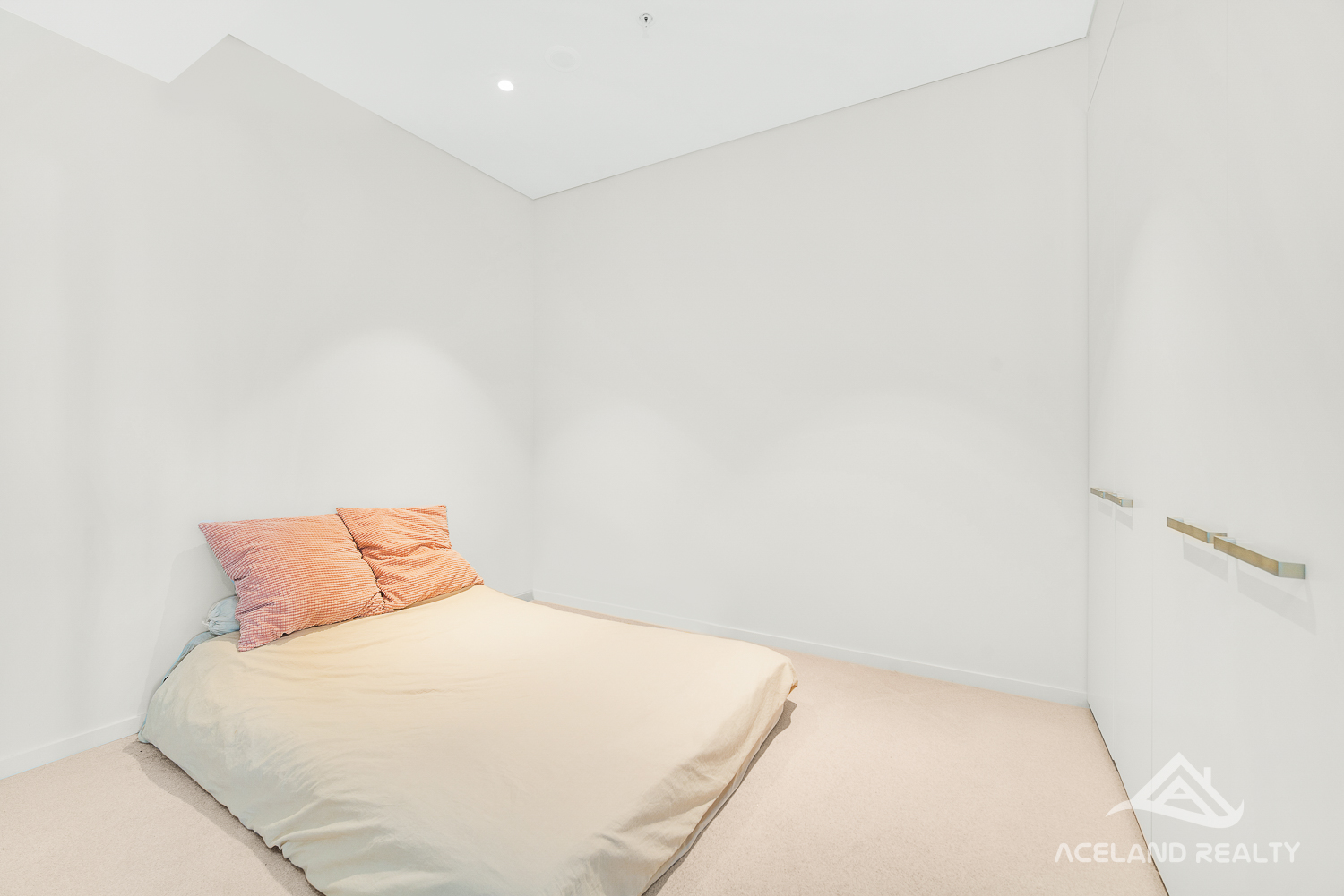 eagle_1331196-ZETLAND-2023-12-10-042625-5