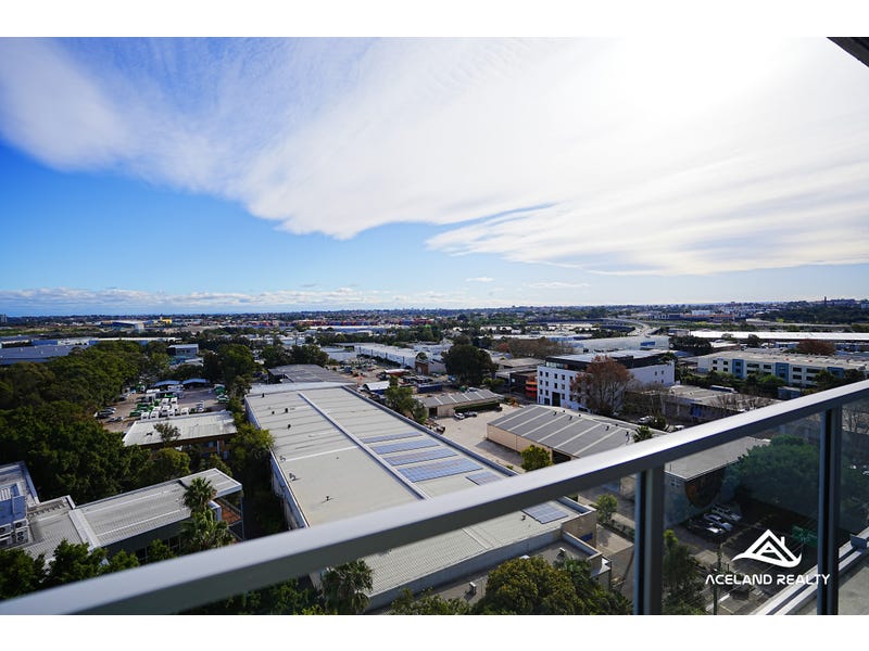 eagle_1602433-MASCOT-2025-06-03-041703-7