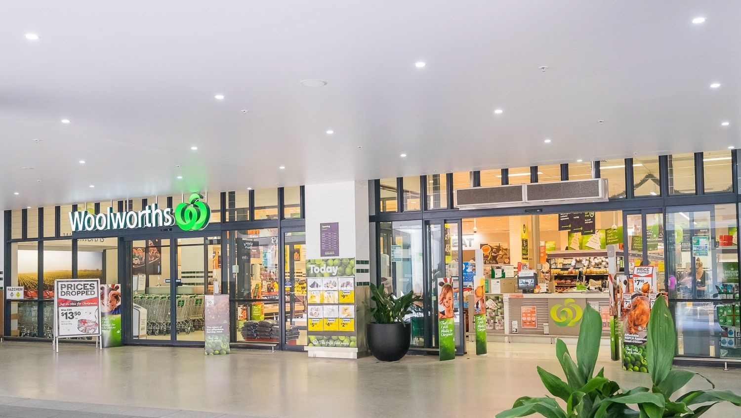 eagle_1446969-MASCOT-2026-02-11-040747-10