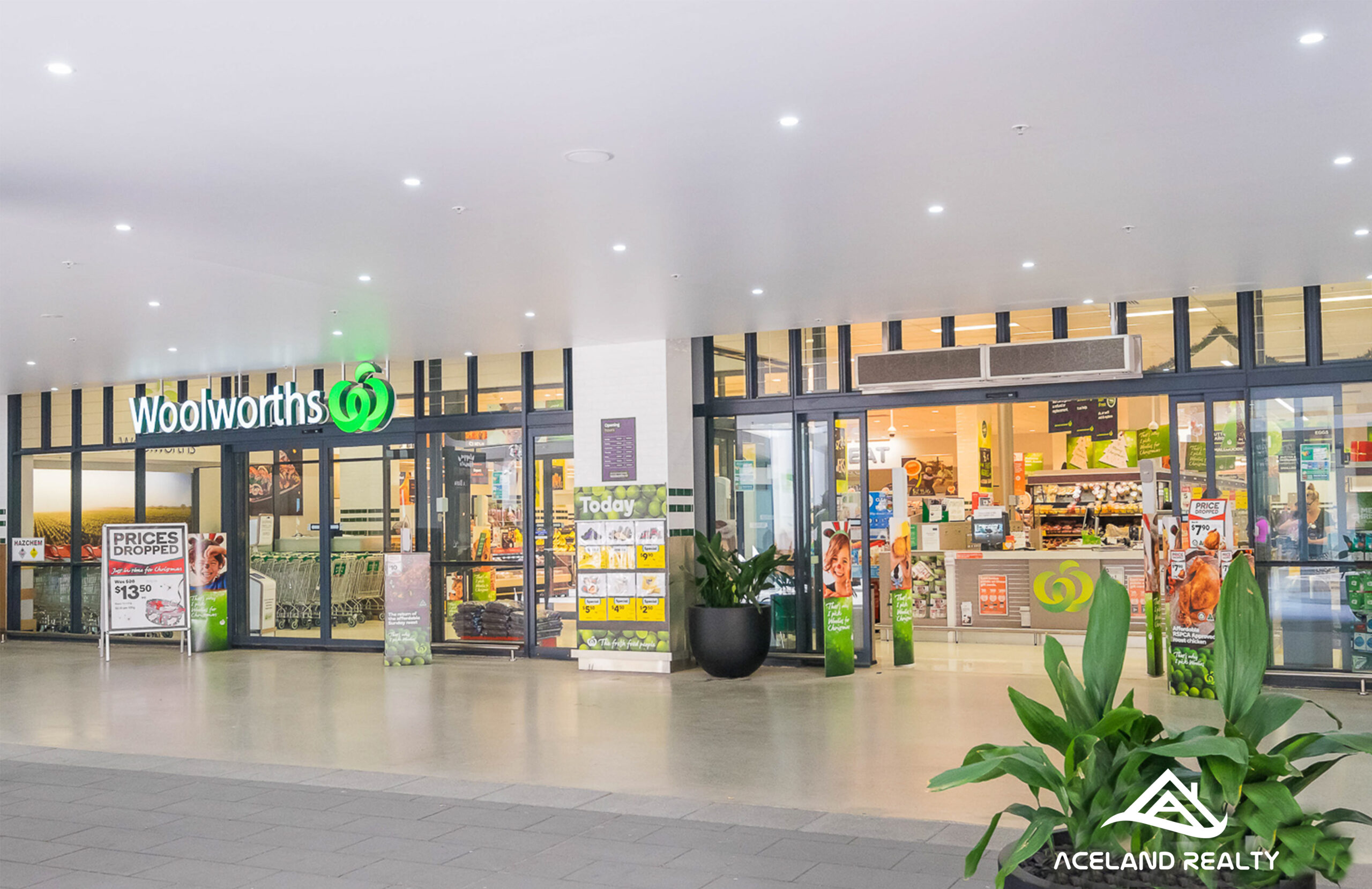 eagle_1619750-MASCOT-2026-03-05-135501-10