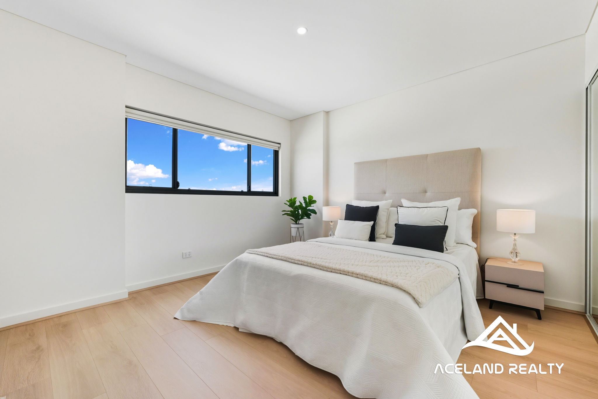 eagle_1668362-WOLLI-CREEK-2026-03-05-135130-6