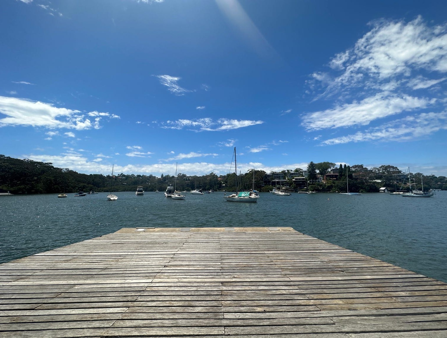 eagle_1762434-RIVERVIEW-2026-04-21-042950-16